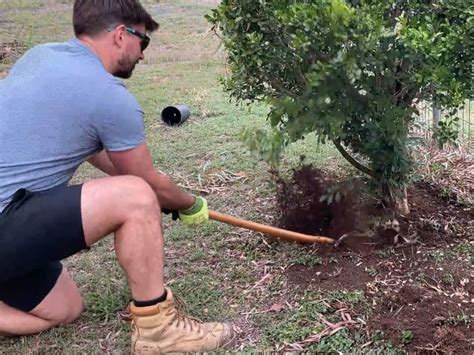 how to sharpen axe with file