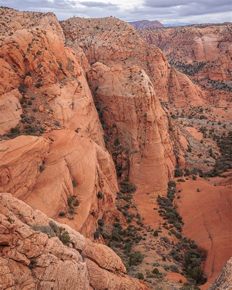 Adam Elliott (@adam_elliott_photography) • Instagram photos and videos