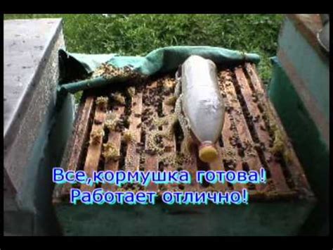 Кормушка для пчел 2.avi - YouTube