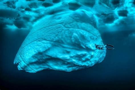 11 редких и впечатляющих фото айсберга в Гренландии от фотографа ...