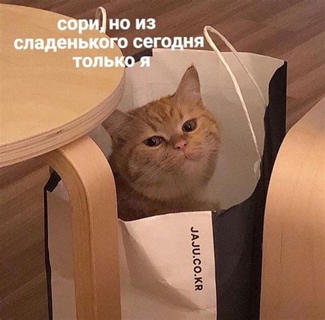 когда мама принесла кучу пакетов из магазина, но кот добрался до них ...