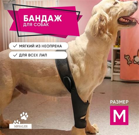 Бандаж на локтевой и коленный сустав, протектор для лап, фиксатор ...