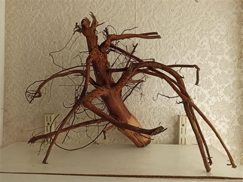 Коряги для аквариума.