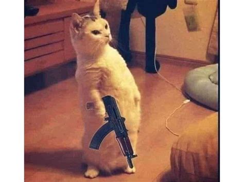 Cười đau bụng với 28 meme chê cực gắt - Coolmate