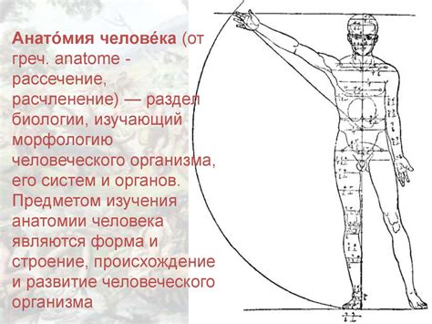 Биосоциальная природа человека - презентация онлайн