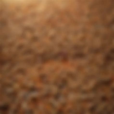 comprehensive guide  animal feedstuffs analysis