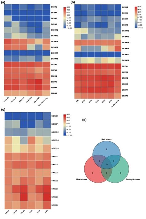 biological data analysis  visualization  bioinformatics tools