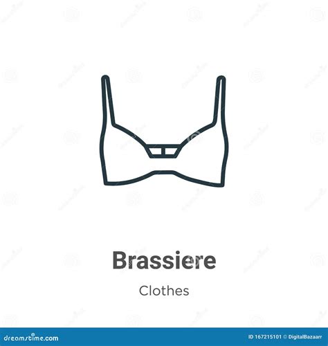 brassiere outline vector icon thin  black brassiere icon flat