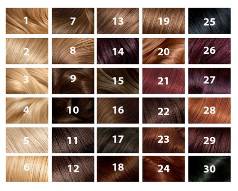 Hair Chart | Ball Room Dance Hair