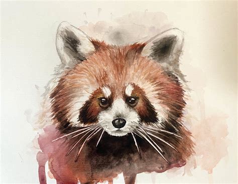 Red Panda Watercolor by TaylienTheAlien on DeviantArt