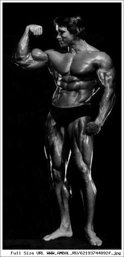 Арнольд Шварценеггер (Arnold Schwarzenegger), фотографии, биография ...