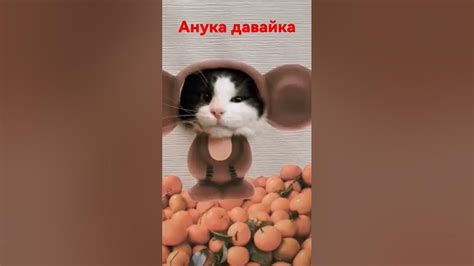 мурка эни яни юги в стиле чебурашки #анука давайка# - YouTube