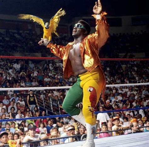 koko  ware pro wrestling wrestling wwf