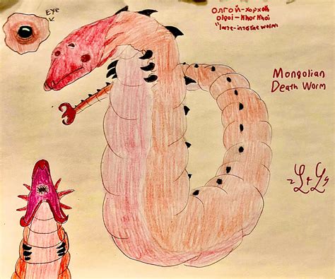mongolian death worm  lugialover  deviantart