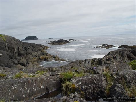 Porcupine Bay Chichagof Island Alaska