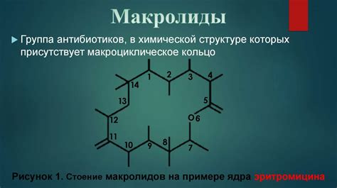 Группа антибиотиков макролиды - презентация онлайн