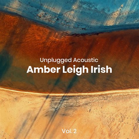 2002 (Acoustic) - Amber Leigh Irish - 单曲 - 网易云音乐
