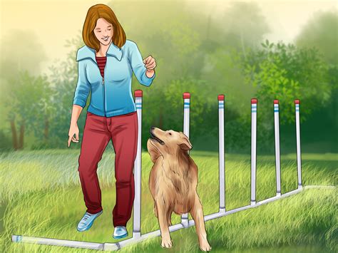 How to Design a Dog Agility Course: 12 Steps (with Pictures)