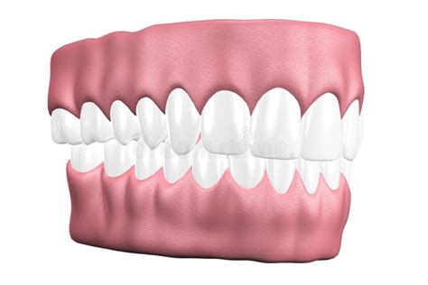 зубы 3D закрывают вверх иллюстрация штока. иллюстрации насчитывающей ...