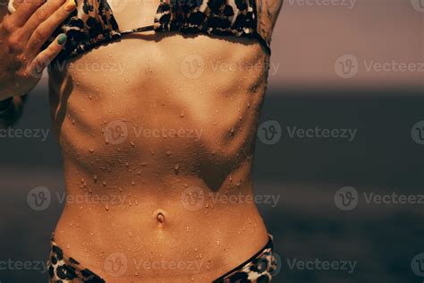 Torso of slim attractive female with flat belly in white underwear