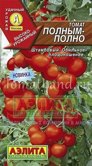 Томат Полным полно: ОТЗЫВЫ (17), фото, характеристика, урожайность ...