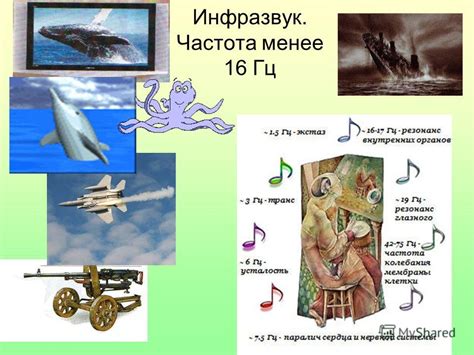 Презентация на тему: "План урока : Источники звука Процесс ...