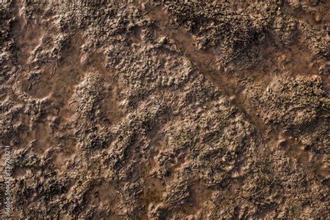 mud Stock Photo | Adobe Stock