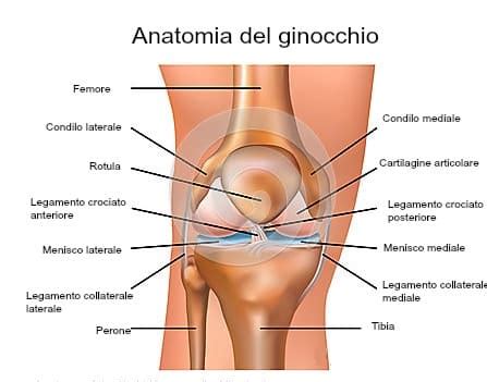 Il Ginocchio: patologie e accertamenti - 3cpiua Centro fisioterapia ...