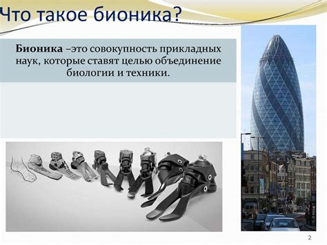 Бионика. Экзоскелеты и бионические технологии - online presentation