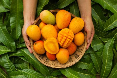 Mango sorting and grading solutions | TOMRA