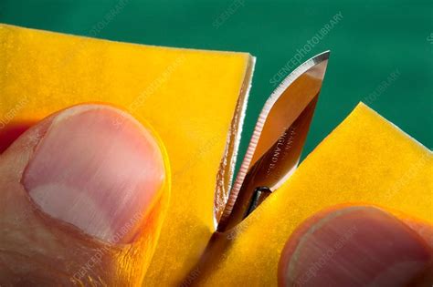 Self-healing polymer - Stock Image - C014/0221 - Science Photo Library