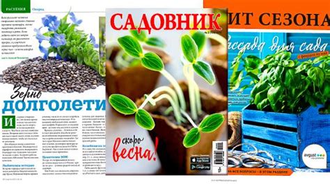 Журнал "Садовник" на Supersadovnik.ru