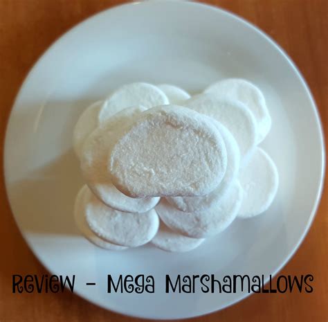 Review & Recipe - Mega Marshmallows & S'mores - Stacey in the Sticks