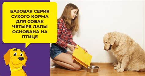 Корм для собак Клуб 4 лапы: ассортимент, состав, отзывы