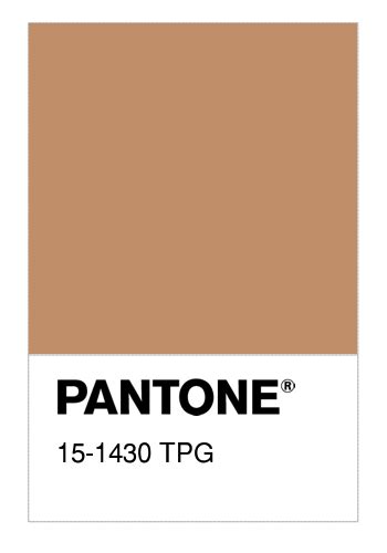 Colore PANTONE® 15-1430 TPG Pastry Shell - Numerosamente.it