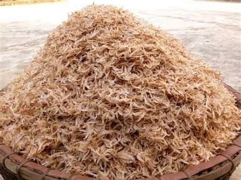 dried small shrimp delicious  nutritious