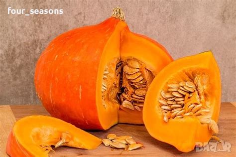 Семена от тиква в Сортови семена и луковици в гр. Варна - ID39148557 ...