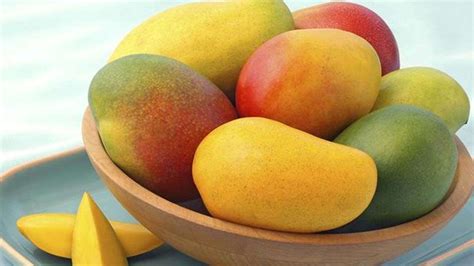 jenis mangga  resep olahannya