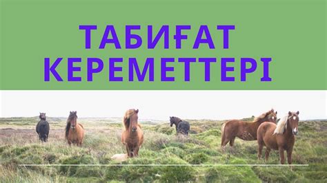 Табиғат кереметтері - YouTube