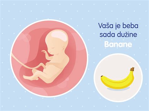 20. nedelja trudnoće: razvoj bebe i ishrana | Nestle bebe klub