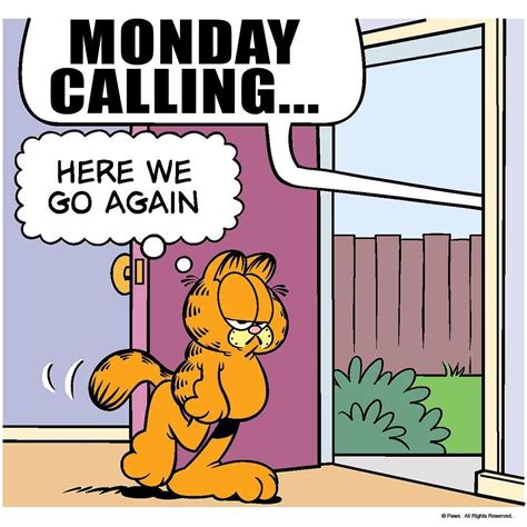 Monday just isn't going to give up is it? | Monday humor, Funny good ...