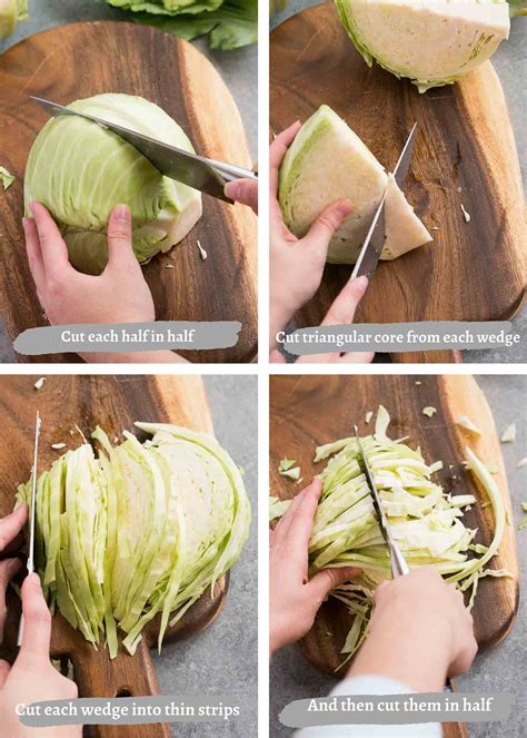 cut cabbage delicious meets healthy