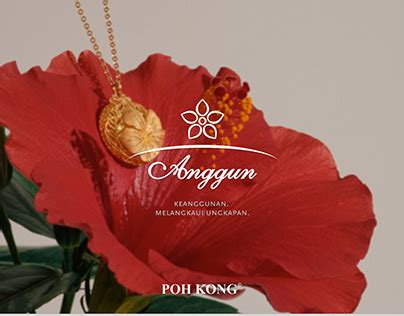 poh kong projects   logos illustrations  branding