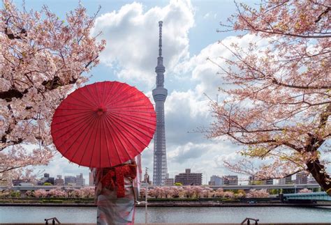 11 Seasonal Festivals of Japan - A Guide to Year-Round Celebrations