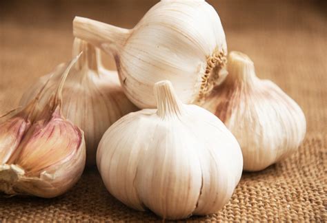 Garlic - KokoLevel Blog