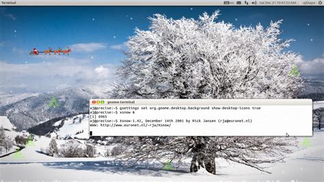 xorg xsnow   work  ubuntu