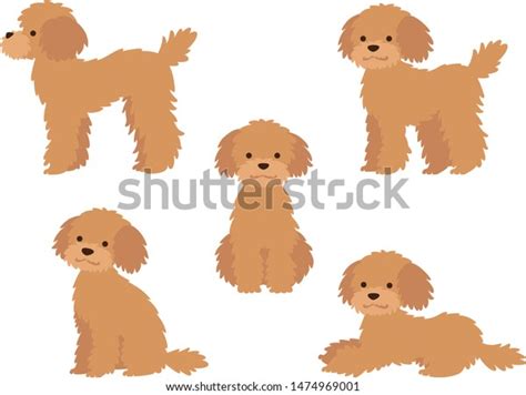11+ Thousand Dog Front Side View Royalty-Free Images, Stock Photos ...