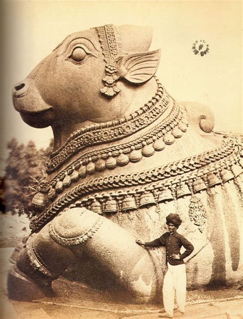 There is a very large Nandi (bull), mount of Shiva, about 200 metres ...