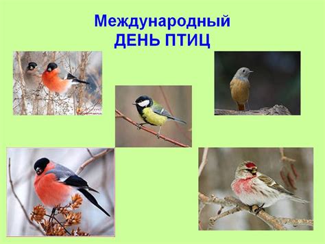 Международный день птиц - Презентации по окружающему миру
