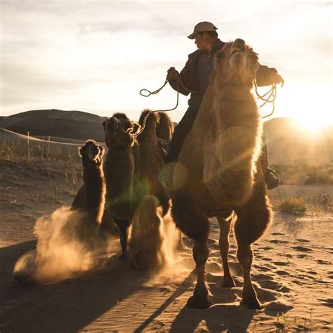 Offroad & Photography Mongolia Tour - Follow The Tracks